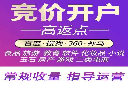 低成本高回报：百度竞价代理成功案例分析
